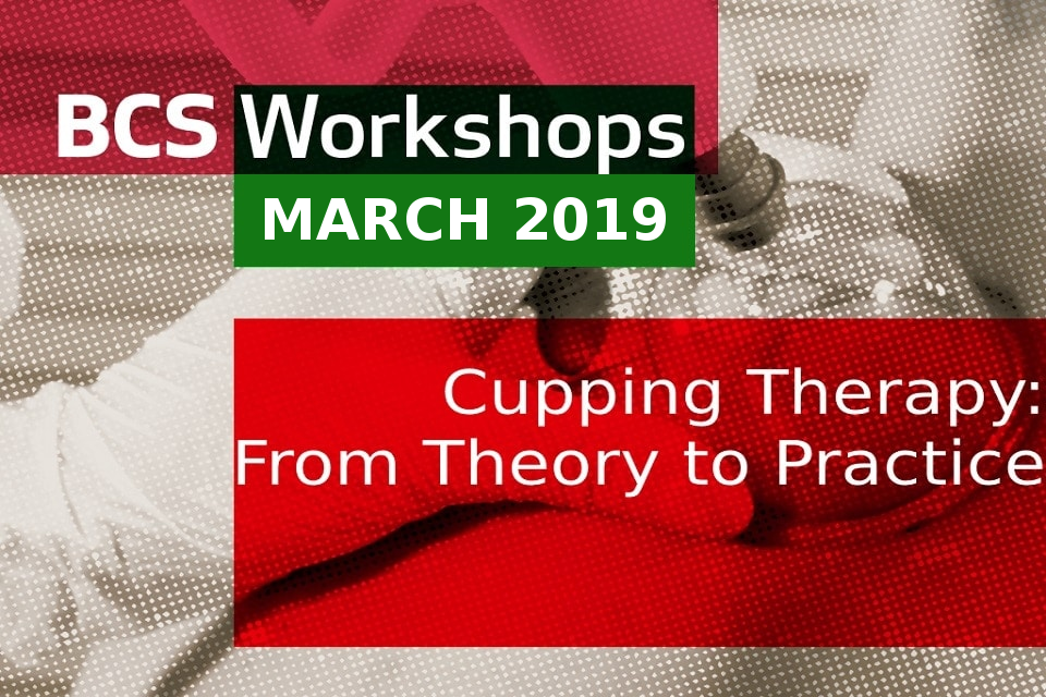 BCS Workshop, March 2019, London, UK